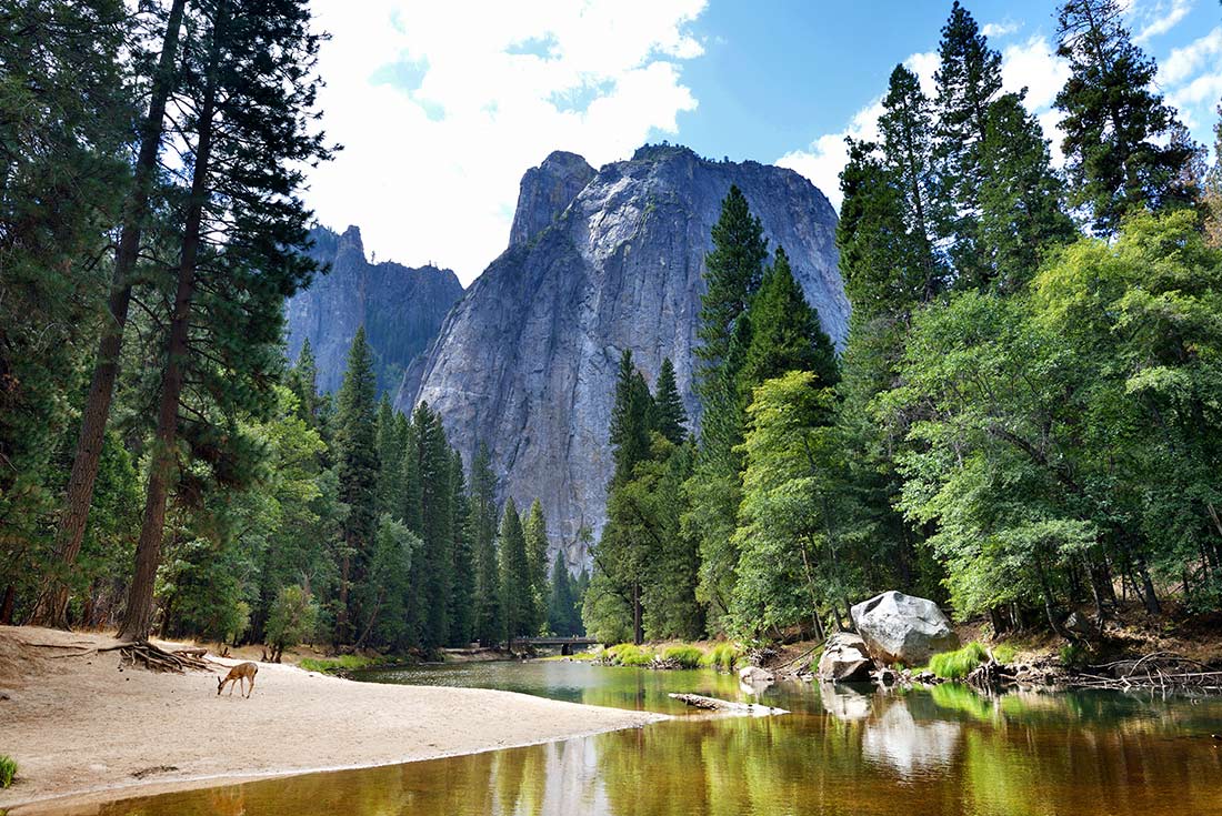 River view of Yosemite Valley, California, USA